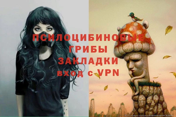 марки lsd Каменка