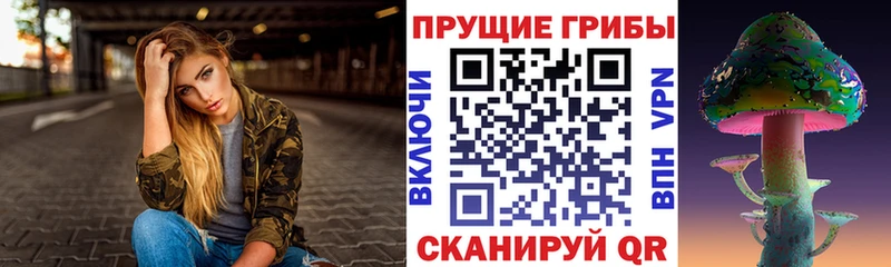 Купить  Белогорск  Псилоцибиновые грибы GOLDEN TEACHER 